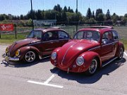 Beetle Show Rioz (84)